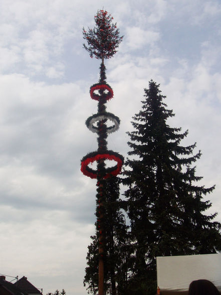 Maibaum aufstellen 2010 - 