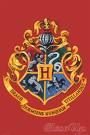 harry potter - 