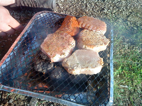 GriLLen . - 