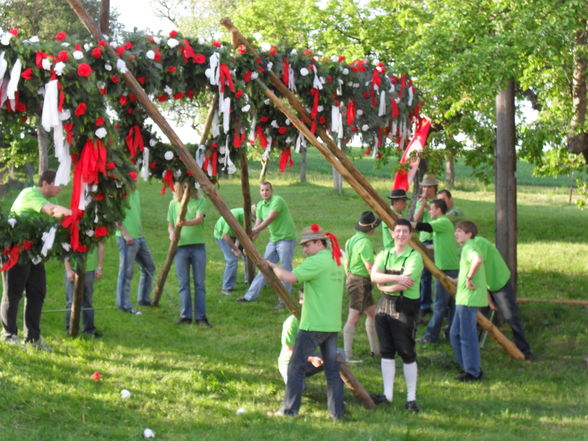 °°MAIBAUM°° - 