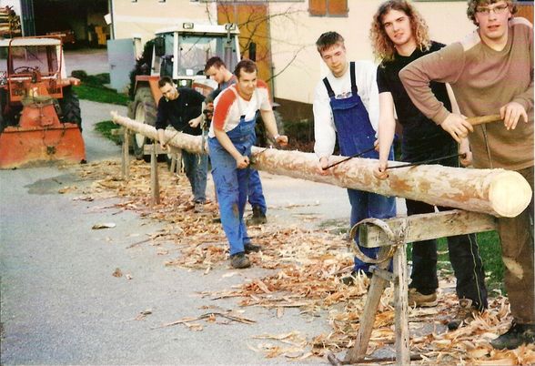 °°MAIBAUM°° - 