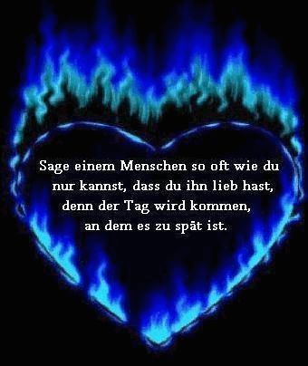 -Bilder- - 