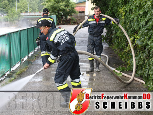 fF sChEiBbS - 