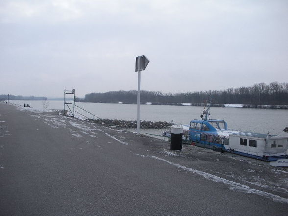 Au/Donau im winter o8/o9 - 