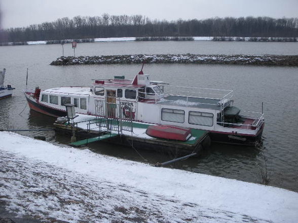 Au/Donau im winter o8/o9 - 