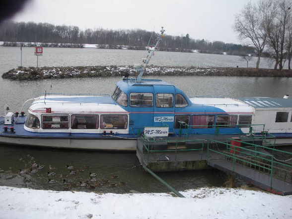 Au/Donau im winter o8/o9 - 