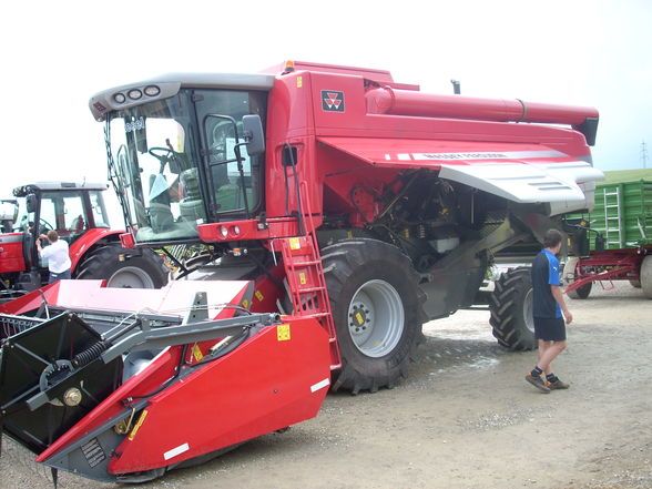 Umbedingt oschon - 