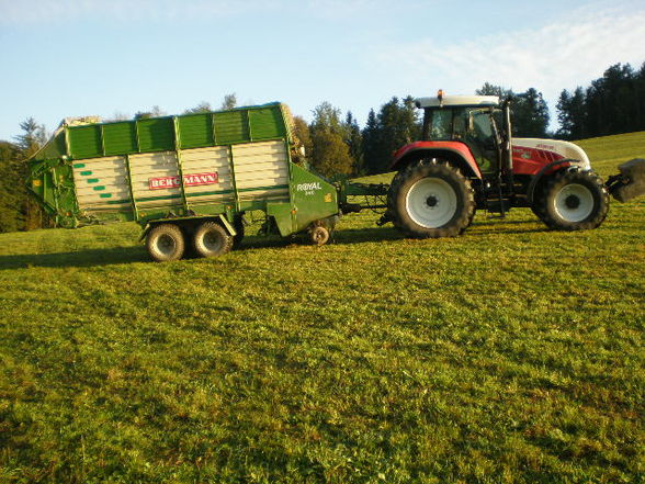 Silage 09 im kleinen format - 