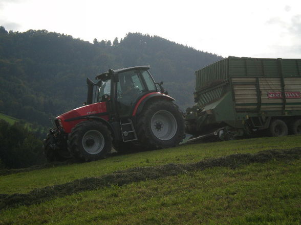 Silage 09 im kleinen format - 