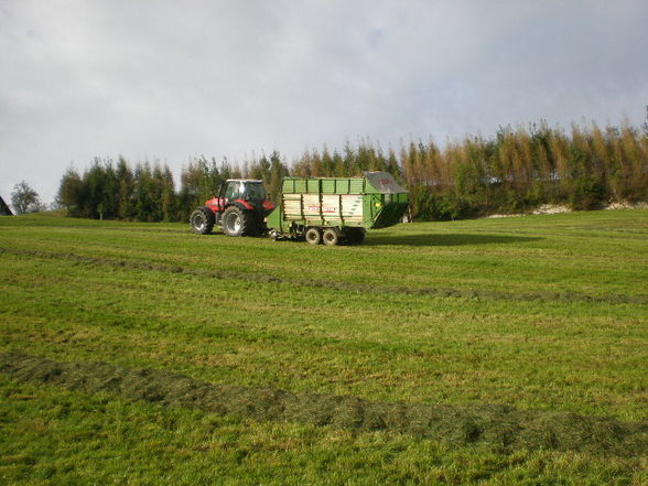 Silage 09 im kleinen format - 