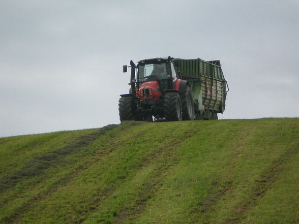 Silage 09 im kleinen format - 