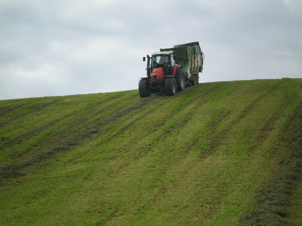 Silage 09 im kleinen format - 