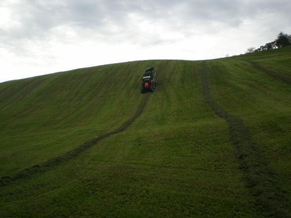 Silage 09 im kleinen format - 