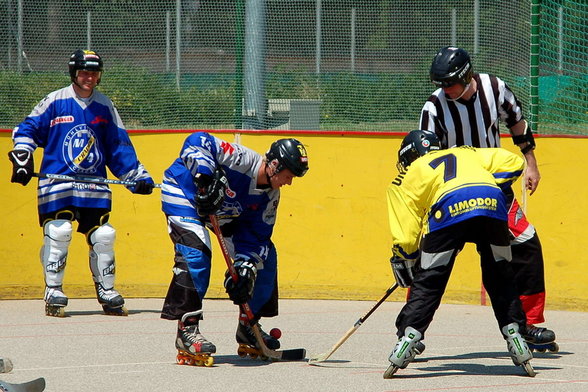 Inlinehockey Liga 2007-2008 - 