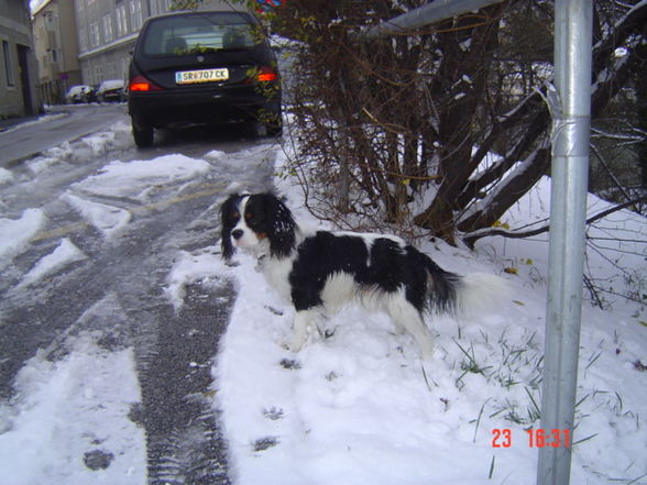 sPoTs ErStEr WiNtEr 2009 - 