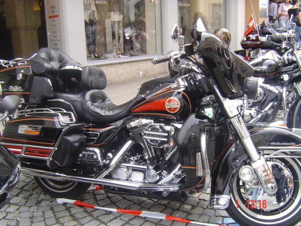 Ƹ̵̡Ӝ̵̨̄ƷHaRlEy TrEfFeN 1.5.2010Ƹ̵̡Ӝ̵̨̄Ʒ - 