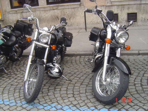 Ƹ̵̡Ӝ̵̨̄ƷHaRlEy TrEfFeN 1.5.2010Ƹ̵̡Ӝ̵̨̄Ʒ - 