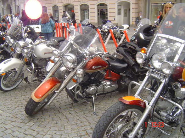 Ƹ̵̡Ӝ̵̨̄ƷHaRlEy TrEfFeN 1.5.2010Ƹ̵̡Ӝ̵̨̄Ʒ - 