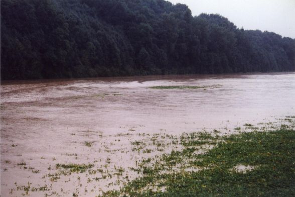 Hochwasser 2002 - 