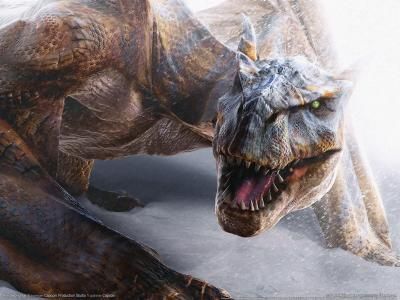 Drachen - 