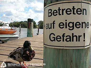 Enten - 