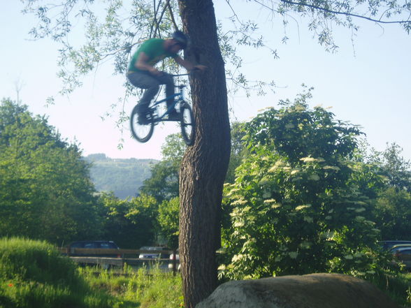 BMX-LINZ - 