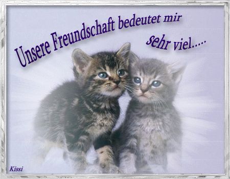 FrEuNdScHaFt - 