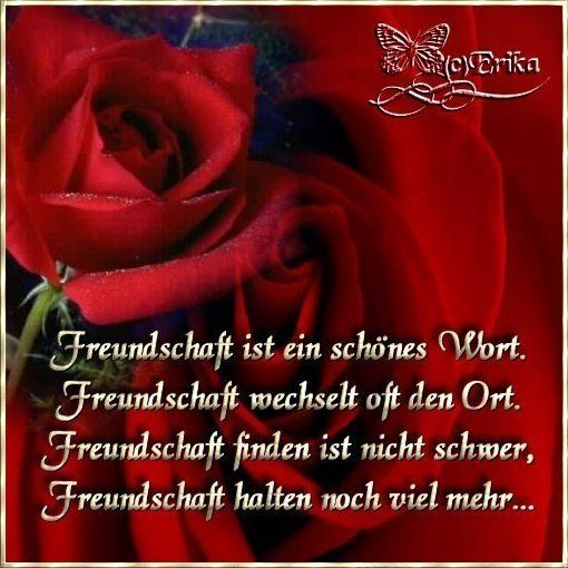 FrEuNdScHaFt - 