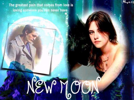 new moon and biss zum morgengrauen - 