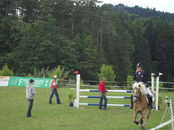 landesmeisterschaften - 