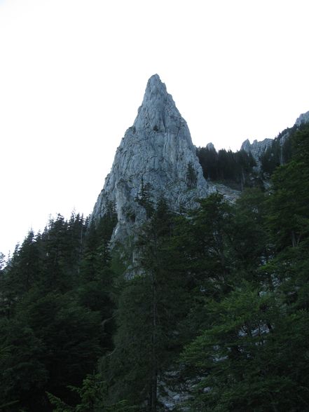 Hochlecken 2009 - 