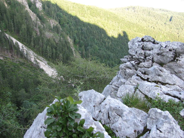 Hochlecken 2009 - 