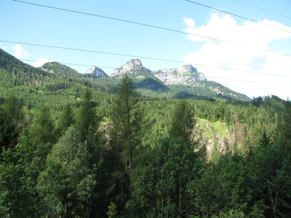 Schafsberg 2009 - 