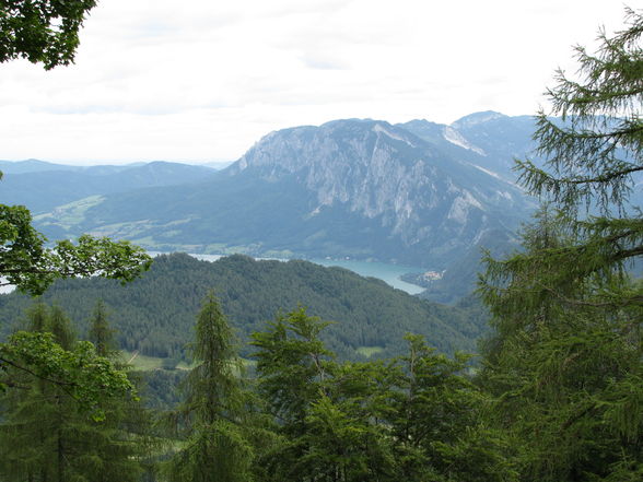 Schafsberg 2009 - 