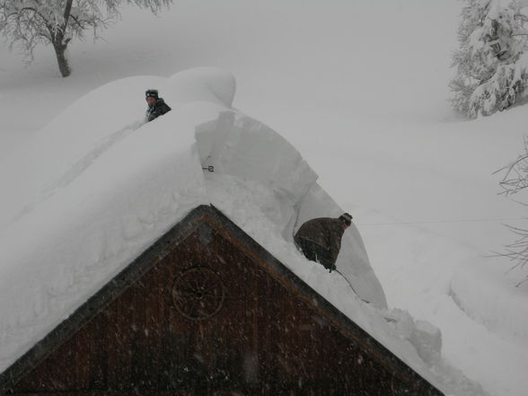 Winter im "Thüring", 24.2.2009 - 