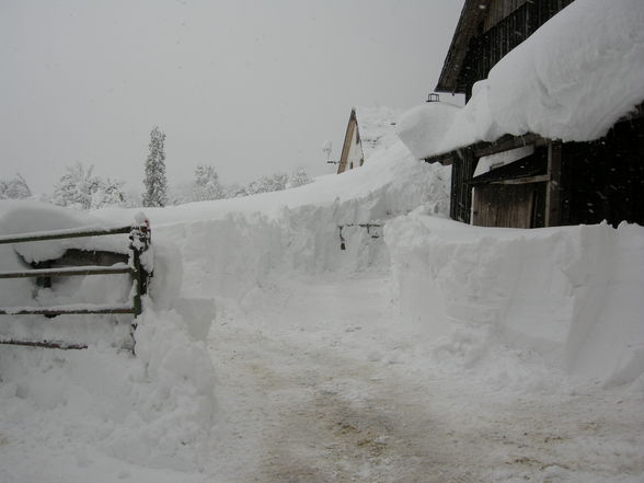 Winter im "Thüring", 24.2.2009 - 