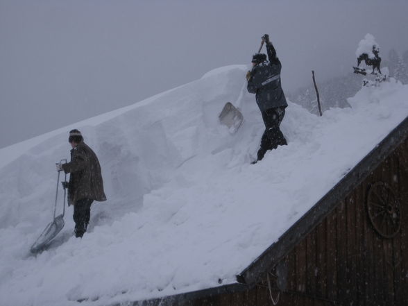 Winter im "Thüring", 24.2.2009 - 