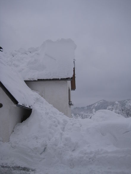 Winter im "Thüring", 24.2.2009 - 