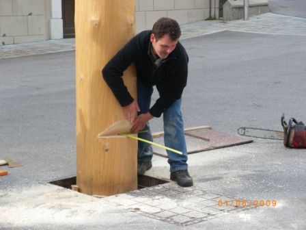 Maibaum umschneiden 09 - 