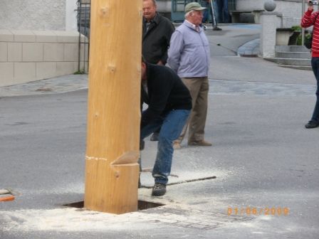 Maibaum umschneiden 09 - 