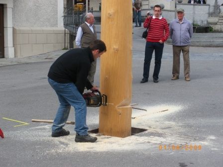 Maibaum umschneiden 09 - 