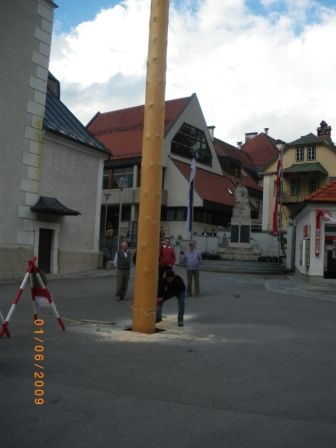 Maibaum umschneiden 09 - 