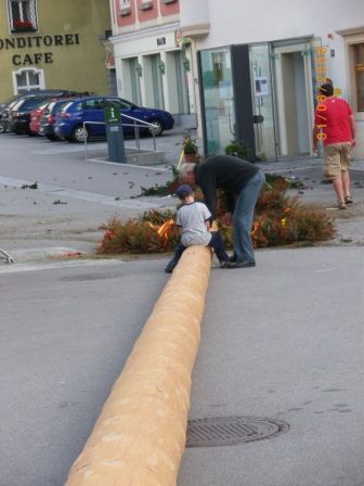 Maibaum umschneiden 09 - 