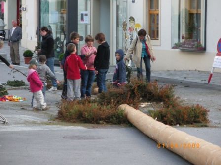 Maibaum umschneiden 09 - 