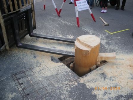 Maibaum umschneiden 09 - 