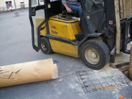 Maibaum umschneiden 09 - 