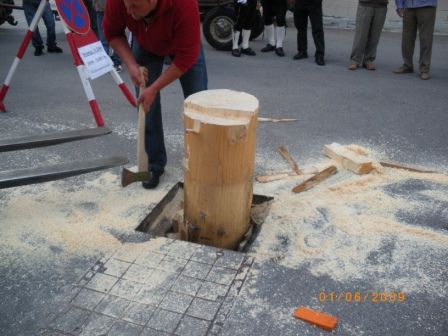 Maibaum umschneiden 09 - 