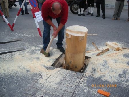 Maibaum umschneiden 09 - 