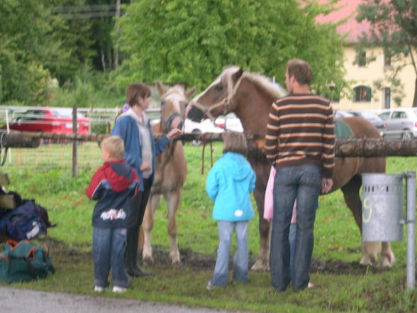 sonnenwend pferdefest - 