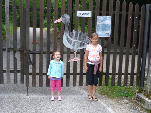 Tierpark - 